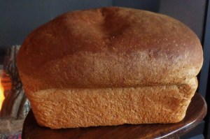 Whole wheat loaf