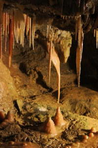 The Stork stalagmite and stalactite formation