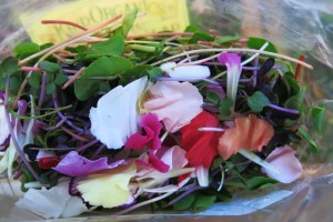 Petals and sprouts from Kind Organics
